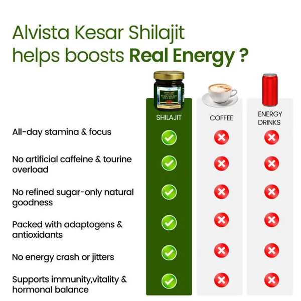 Alvista_Kesar_Shilajit_Gold_Resin_2_Shilajit_Combo