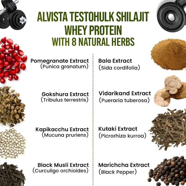 Testohulk_Shilajit_Whey_Fast_Absorb_Protein_Combo_Pack_1_1_2kg_Default_Title