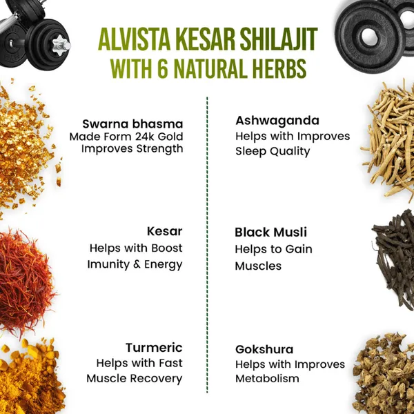 Shilajit_Whey_Fast_Absorb_Protein_1kg_Alvista_Kesar_Shilajit_Gold_Resin_25g