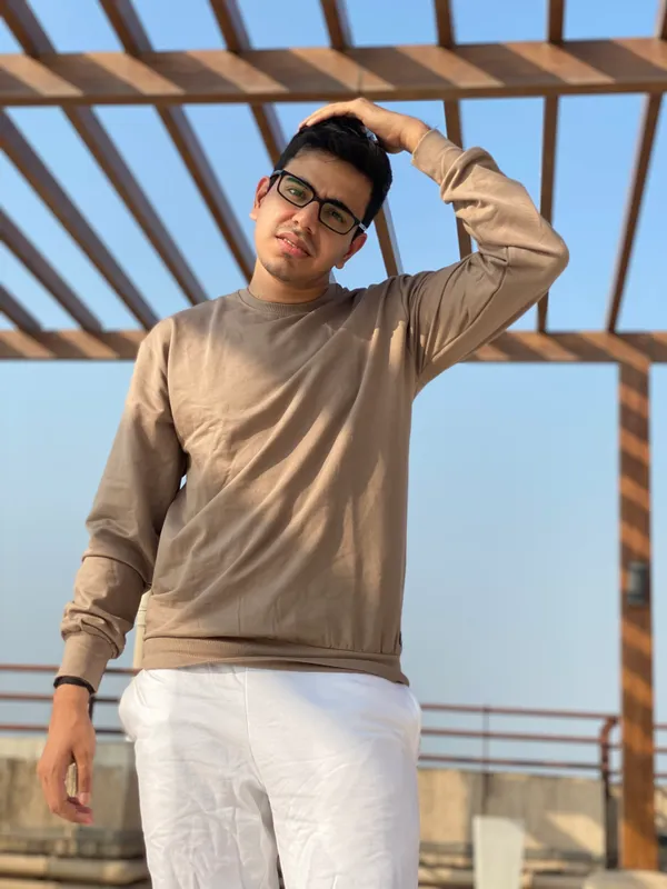 Beige_Regular_Fit_Crew_Neck_Sweatshirt