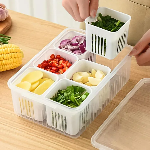 Refrigerator_Storage_Container