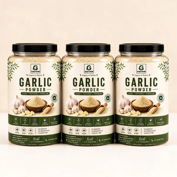 Gautam_Organics_Garlic_Powder_-_Pack_of_3