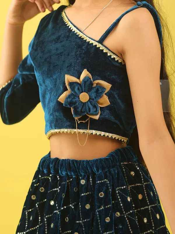 Blue_Velvet_Embroidered_Top_With_Lehenga_And_Net_Dupatta_Set