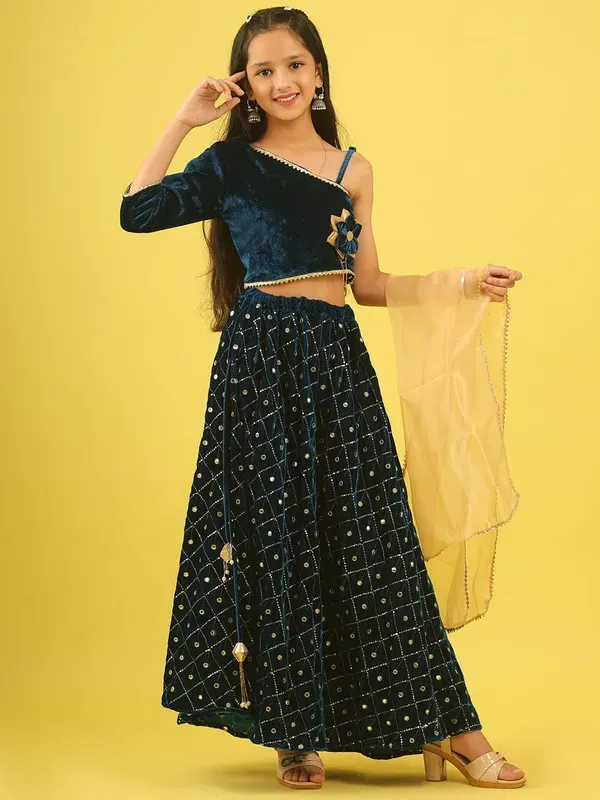 Blue_Velvet_Embroidered_Top_With_Lehenga_And_Net_Dupatta_Set