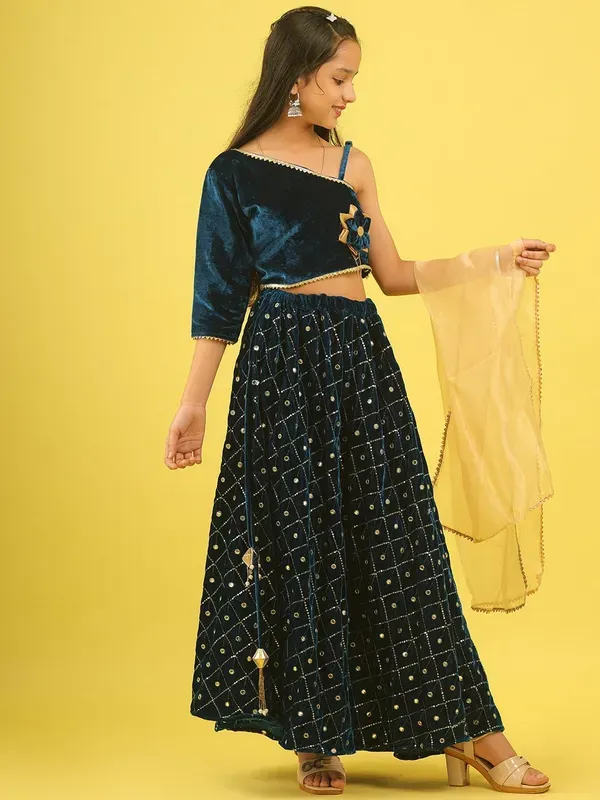 Blue_Velvet_Embroidered_Top_With_Lehenga_And_Net_Dupatta_Set