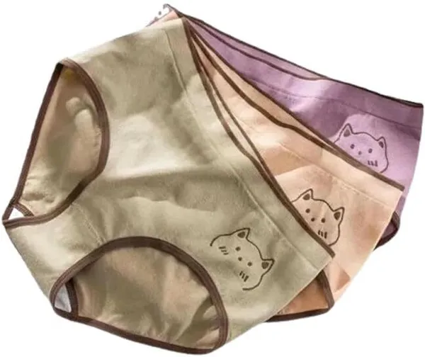 Multicolor_Cotton_Blend_Hipster_Panty_For_Women