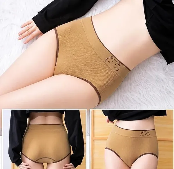 Multicolor_Cotton_Blend_Hipster_Panty_For_Women