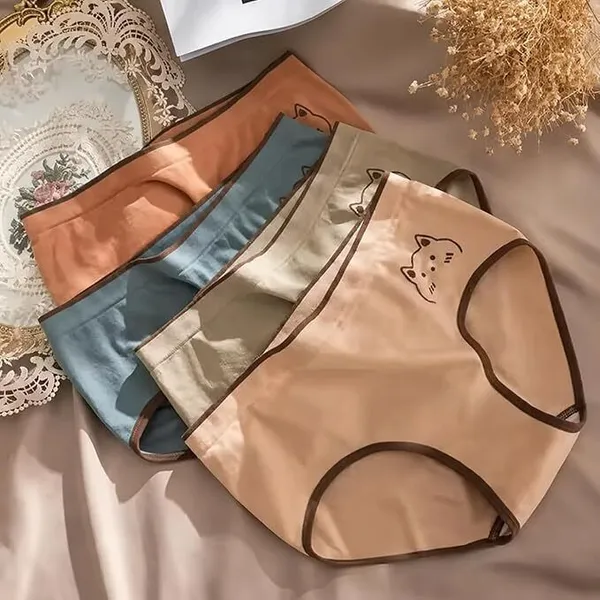 Assorted_Cotton_Blend_Hipster_Panty_For_Women