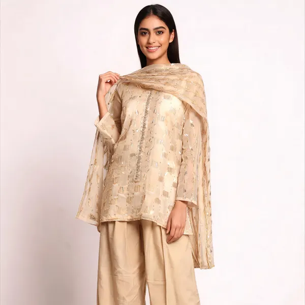 Beige_Tissue_Ethnic_Sharara_Set_For_Women