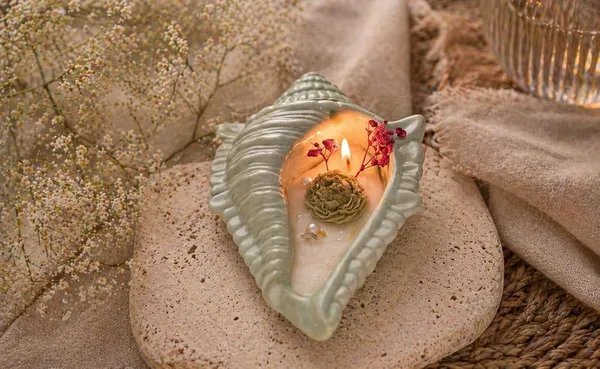 Ceramic_Shell_Soy_Candle_With_Dried_Flowers