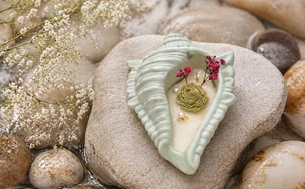 Ceramic_Shell_Soy_Candle_With_Dried_Flowers