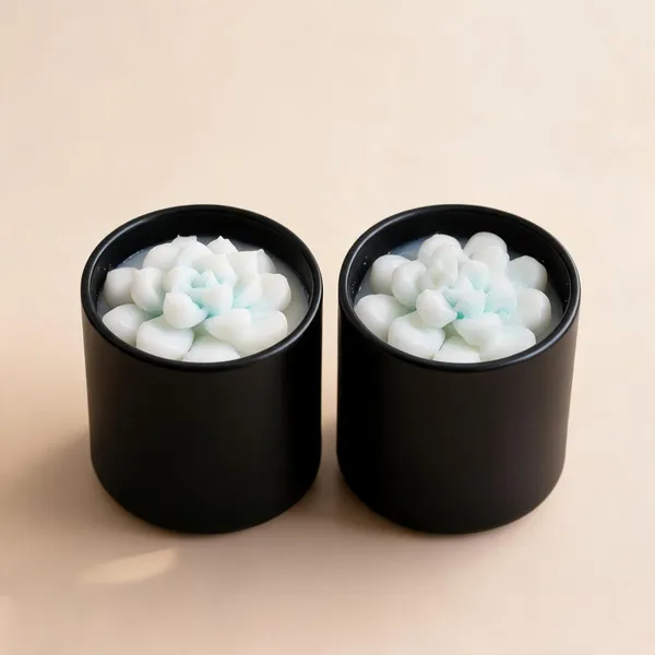 Soy_Wax_Succulent_Bloom_Candle_In_Matte_Black_Glass_Jar_|_Pack_Of_2