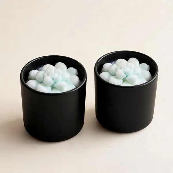 Soy_Wax_Succulent_Bloom_Candle_In_Matte_Black_Glass_Jar_|_Pack_Of_2