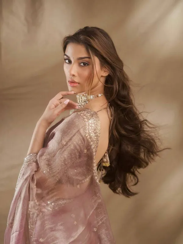 Mauve_Sheer_Embellished_Saree_for_Women