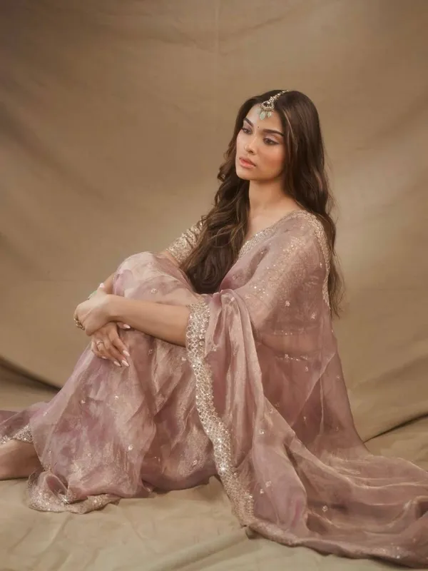 Mauve_Sheer_Embellished_Saree_for_Women