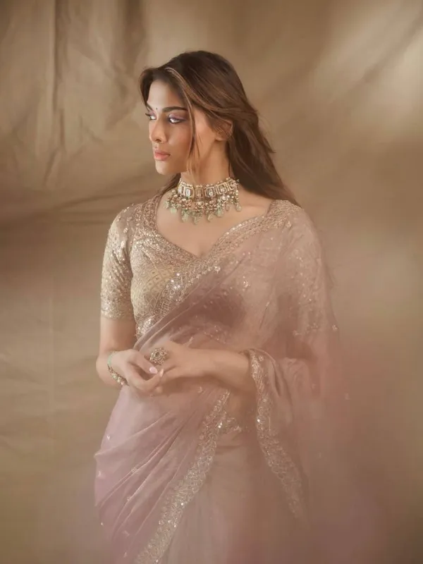 Mauve_Sheer_Embellished_Saree_for_Women