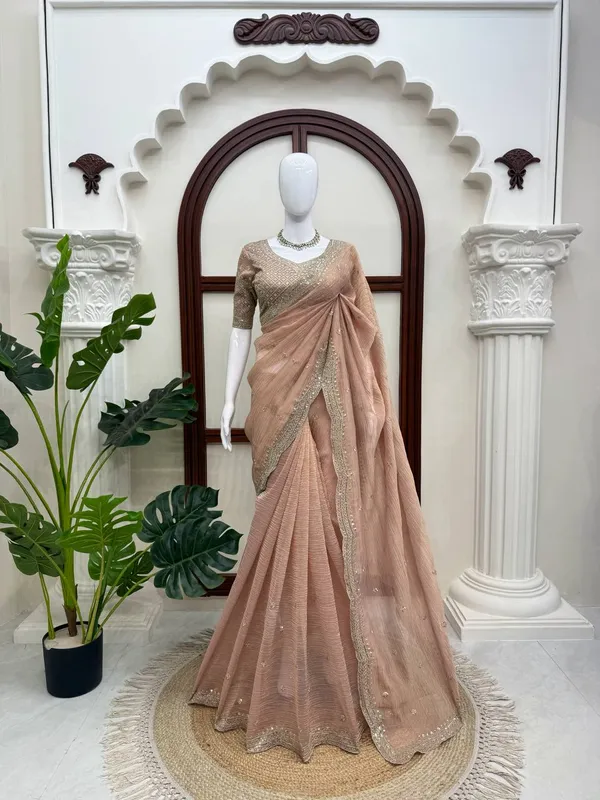 Mauve_Sheer_Embellished_Saree_for_Women