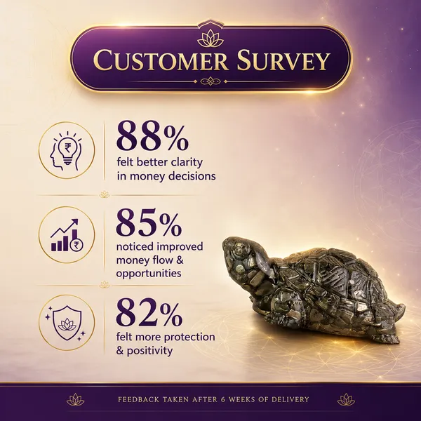 Vastu_Pyrite_Tortoise_Kachhua