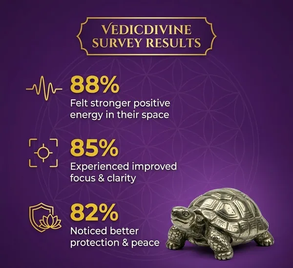 Vastu_Pyrite_Tortoise_With_Free_Raw_Selenite_Plate_Default_Title