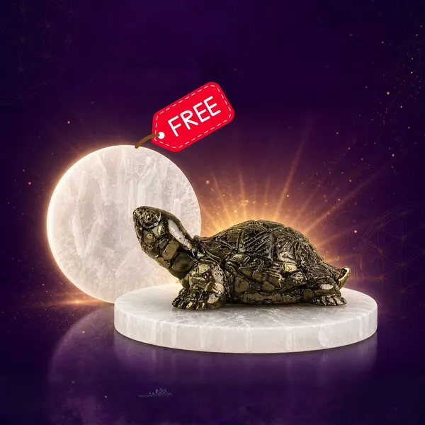 Vastu_Pyrite_Tortoise_With_Free_Raw_Selenite_Plate_Default_Title