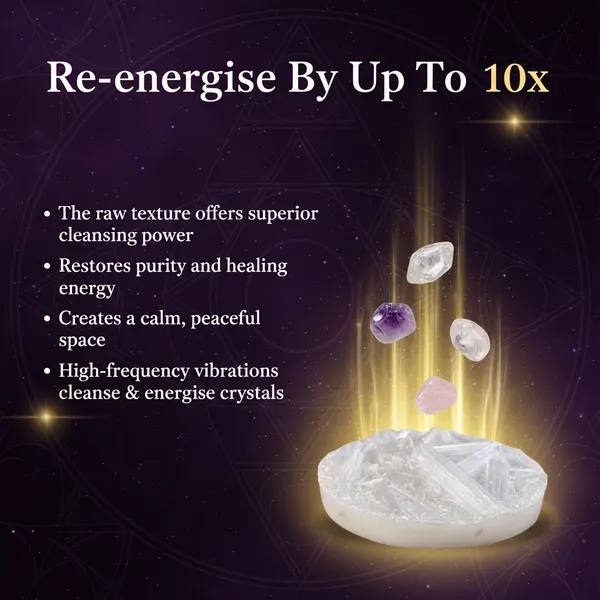 Vastu_Pyrite_Tortoise_With_Free_Raw_Selenite_Plate_Default_Title