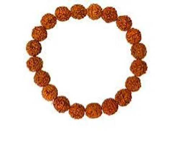 Brown_Rudraksha_Bead_Bracelet