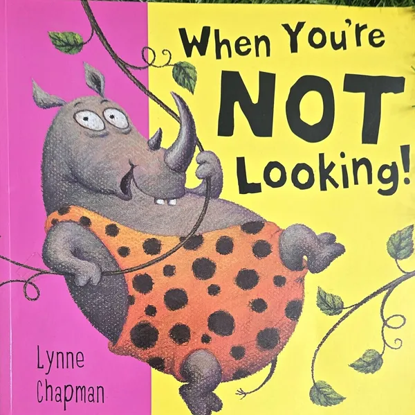 When_You_Re_Not_Looking_By_Lynne_Chapman_Default_Title