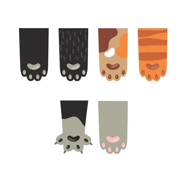 Cat_Paw_Magnetic_Bookmarks_Assorted_Cute_Book_Marks_Set_Of_6_Default_Title