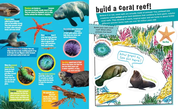 Peel_Discover_Oceans_By_Workman_Publishing_Default_Title