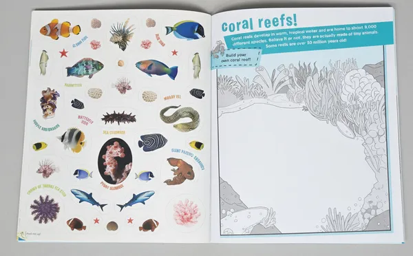 Peel_Discover_Oceans_By_Workman_Publishing_Default_Title