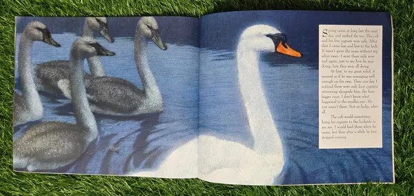 The_Silver_Swan_By_Michael_Morpurgo_Christian_Birmingham_Default_Title