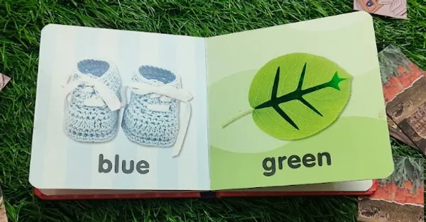 Colours_Board_Book_Hardcover_Default_Title