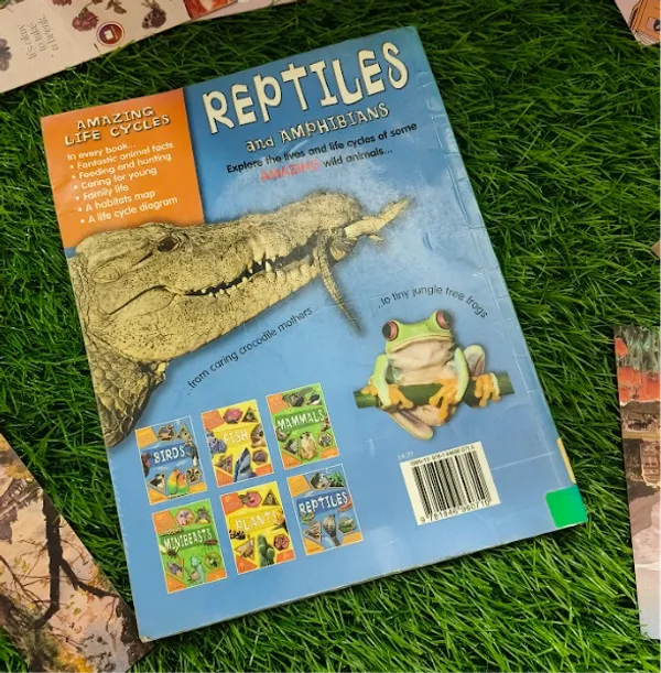 Reptiles_And_Amphibians_Amazing_Life_Cycles_By_Brian_Williams_Paperback_Default_Title