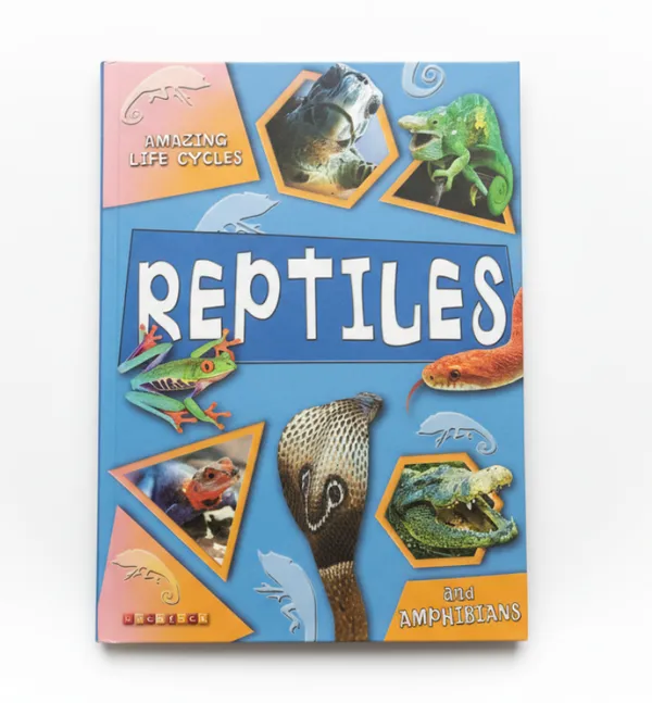 Reptiles_And_Amphibians_Amazing_Life_Cycles_By_Brian_Williams_Paperback_Default_Title