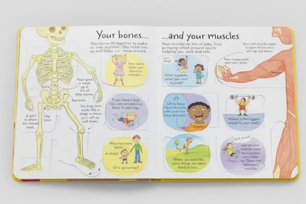 Look_Inside_Your_Body_By_Louie_Stowell_Board_Book_Default_Title