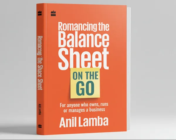 Romancing_The_Balance_Sheet_On_The_Go_By_Anil_Lamba_Paperback_Default_Title