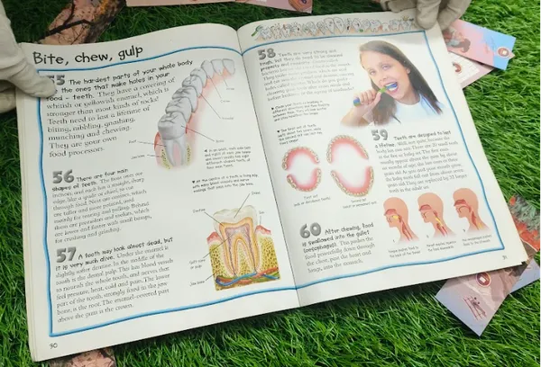 The_Human_Body_100_Facts_On_By_Steve_Parker_Default_Title