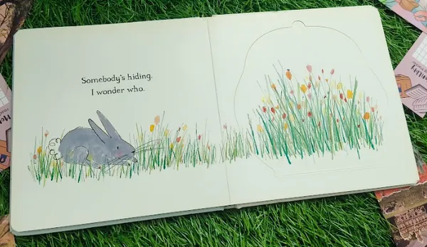 It_S_A_Little_Baby_Lift_The_Flap_Fun_By_Julia_Donaldson_Hardcover_Default_Title