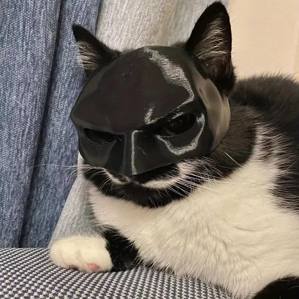 Cat_Batman_Mask_Superhero_Costume_Fun_Pet_Prop_For_Cosplay_Photoshoots_Black_Limited_Edition_Pack_Of_1