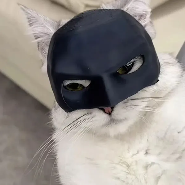 Cat_Batman_Mask_Superhero_Costume_Fun_Pet_Prop_For_Cosplay_Photoshoots_Red_Pack_Of_3