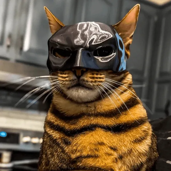 Cat_Batman_Mask_Superhero_Costume_Fun_Pet_Prop_For_Cosplay_Photoshoots_Red_Pack_Of_5