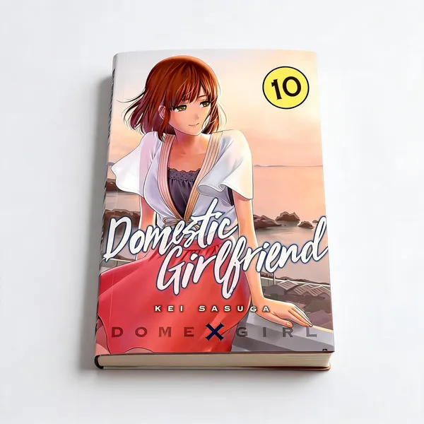 Domestic_Girlfriend_Vol_10_Manga_Paperback