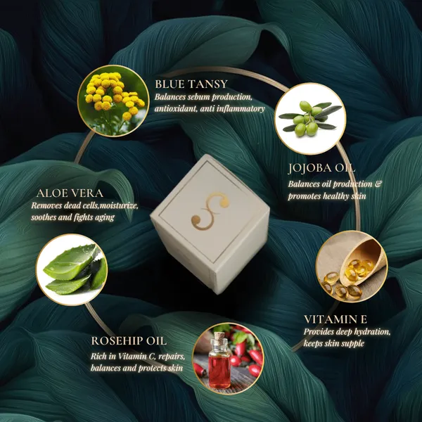 Am_Pm_Skincare_Face_Oil_Serum_Duo_Advanced_Day_Energizing_Face_Oil_Serum_Night_Renewal_Face_Oil_Serum_Default_Title
