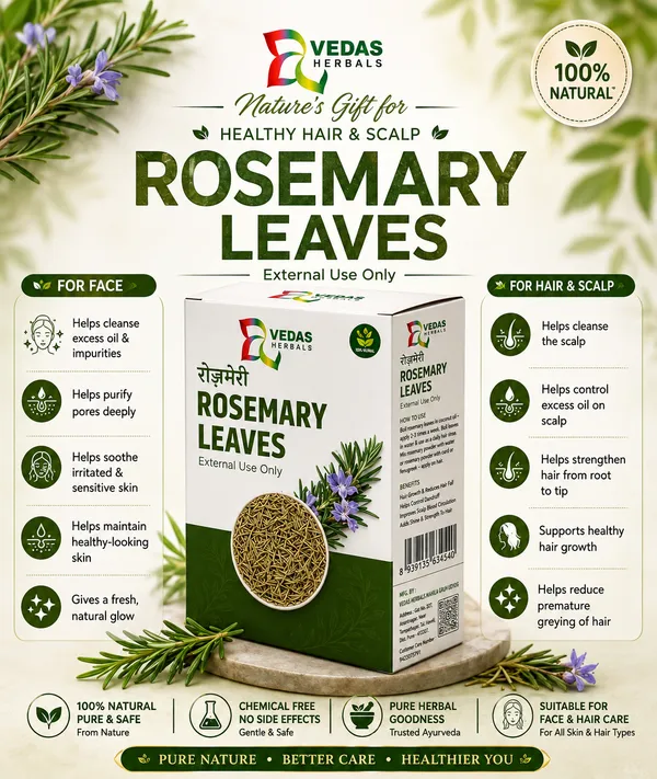 Premium_Rosemary_Leaves_Pack_of_7