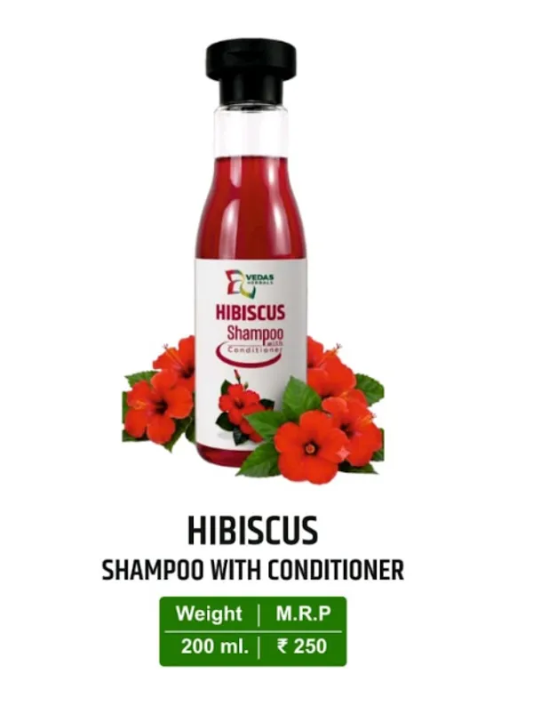 Premium_Hibiscus_Argan_Oil_Shampoo_With_Conditioner_Pack_of_2