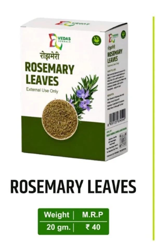 Premium_Rosemary_Leaves_Pack_of_7