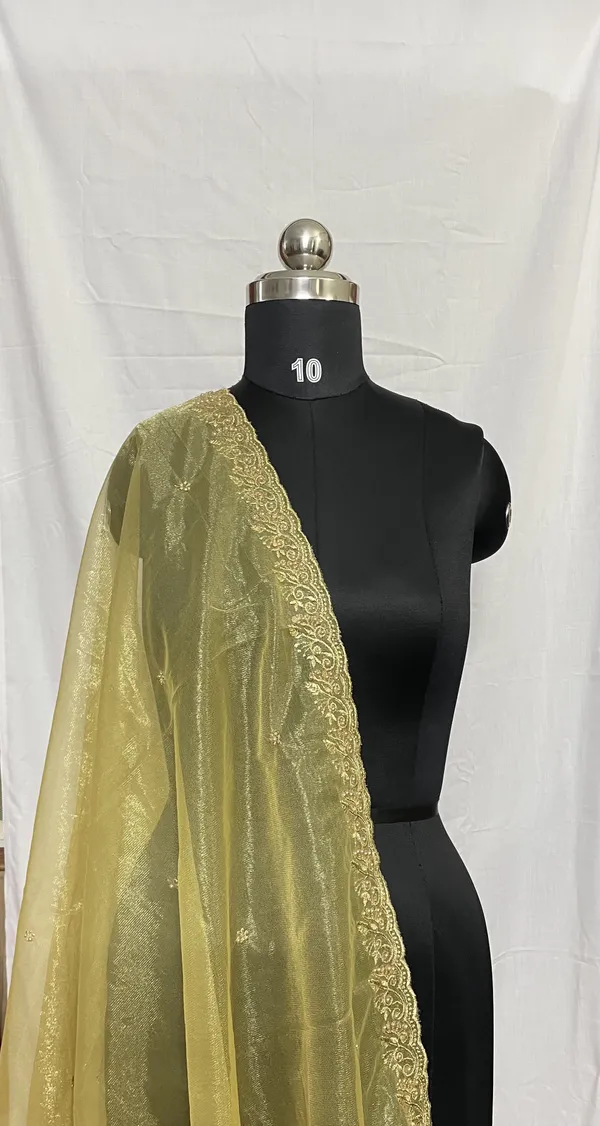 Mamta_Matching_Centre-dupattaChiffon_Shining