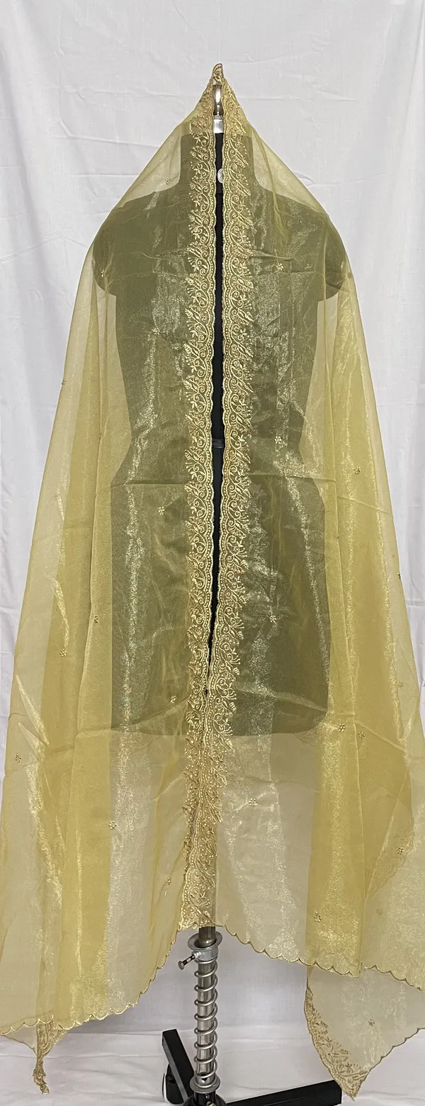 Mamta_Matching_Centre-dupattaChiffon_Shining