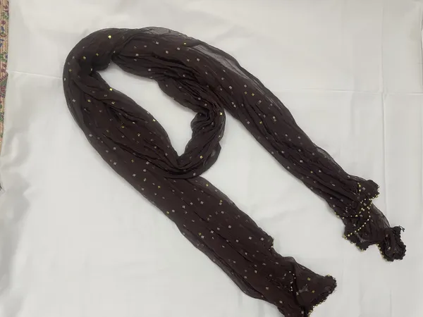 Mamta_Matching_Centre-dupatta_chiffon_
