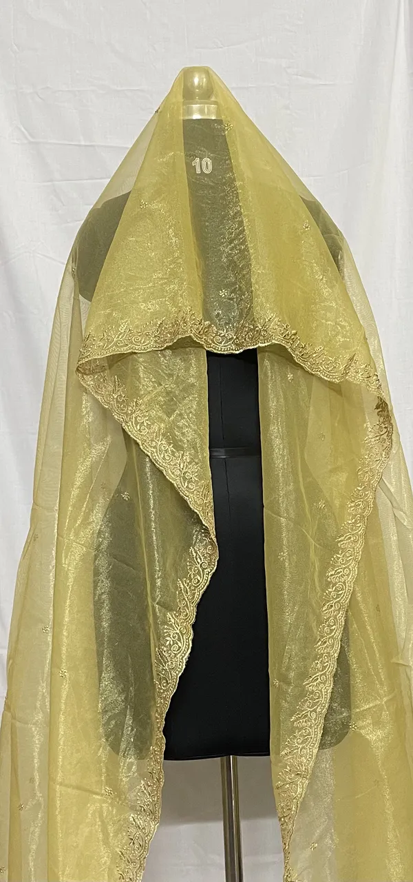 Mamta_Matching_Centre-dupattaChiffon_Shining